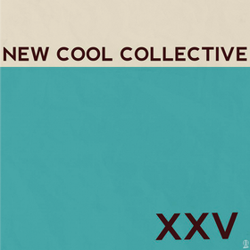 XXV (Deluxe) New Cool Collective