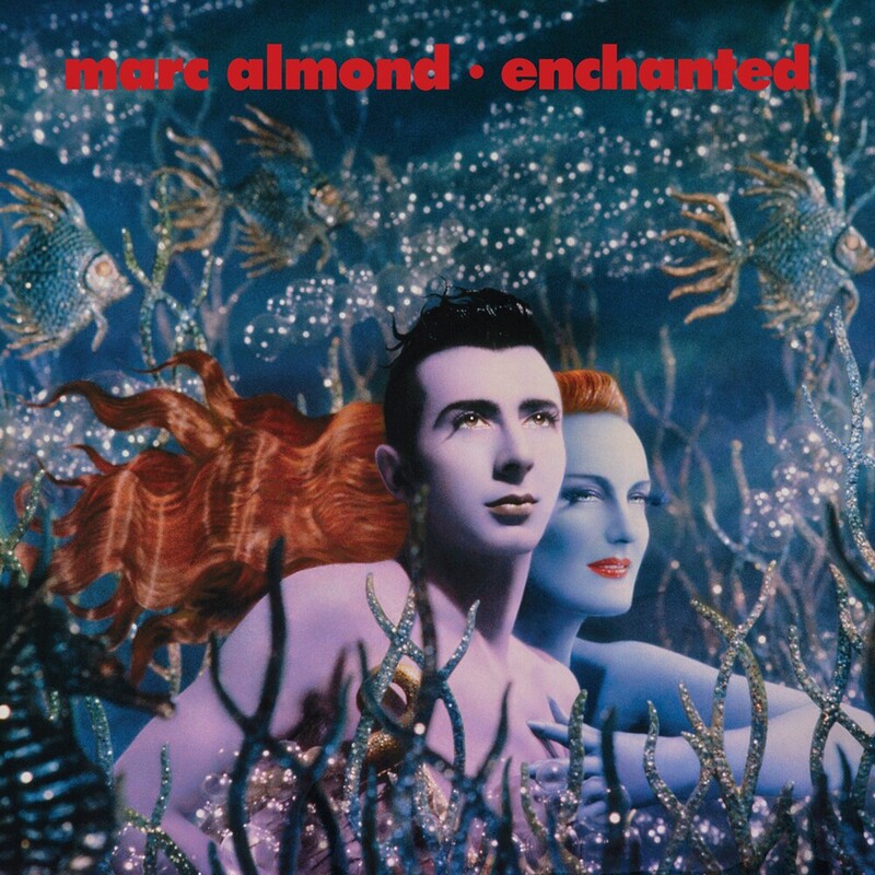 Enchanted (Limited Edition)