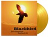 Blackbird