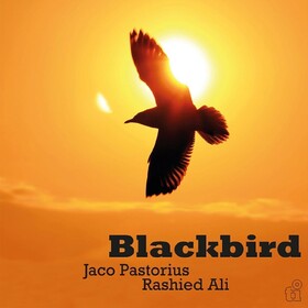 Blackbird Jaco Pastorius & Rashied Ali