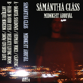 Midnight Arrival Samantha Glass
