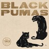 Black Pumas (Box Set)