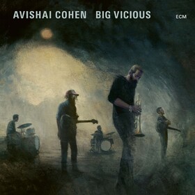 Big Vicious Avishai Cohen / Big Vicious
