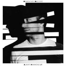 Momentary Masters Albert Hammond Jr.