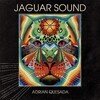 Jaguar Sound
