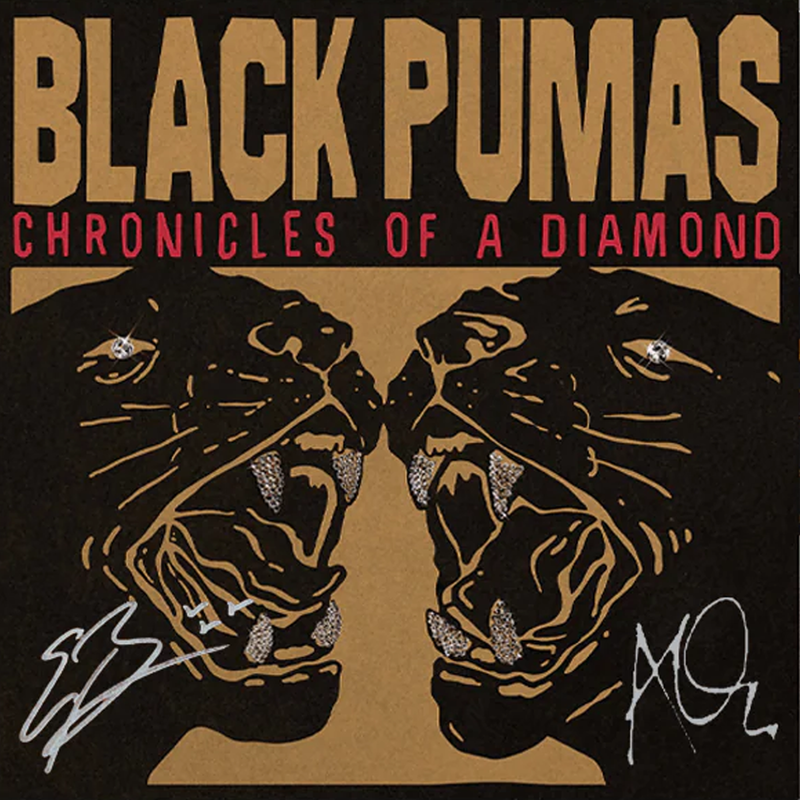 Chronicles of a Diamond (Rough Trade Exclusive) (Signed)