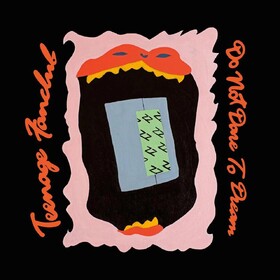 Do Not Dare To Dream Teenage Fanclub
