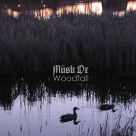 Woodfall Musk Ox