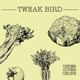 Undercover Crops Tweak Bird