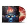 The Connection (Limited Edition)