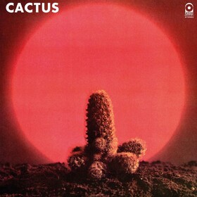 Cactus Cactus