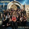 Temple Of Blues: Influences And Friends
