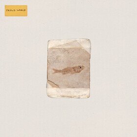 Friend World (Milky Clear Vinyl) Do Nothing