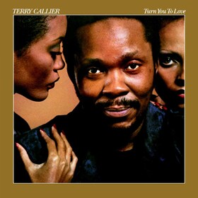 Turn You To Love Terry Callier