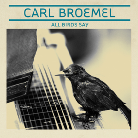 All Birds Say Carl Broemel