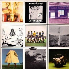 A Nice Pair Pink Floyd