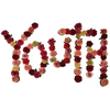 Youth (Coloured)