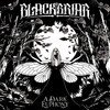 A Dark Euphony (Limited Edition)