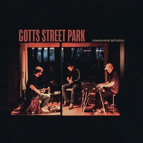 Somewhere Between Gotts Street Park