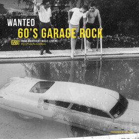 Wanted 60's Garage Rock Various Artists