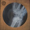 The Alchemist's Euphoria (Picture Disc)