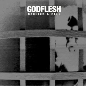 Decline & Fall Godflesh
