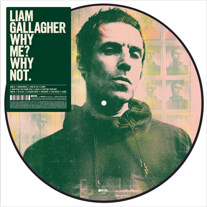 Why Me? Why Not. (Picture Disc)