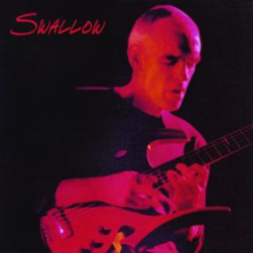 Swallow Steve Swallow