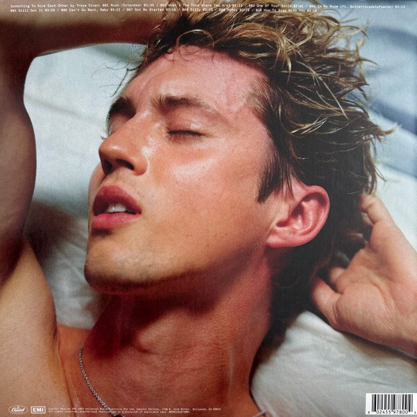 ♬ Vinyl Record Troye Sivan — Something To Give Each Other