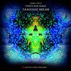 Finnegan's Wake (Limited Edition)
