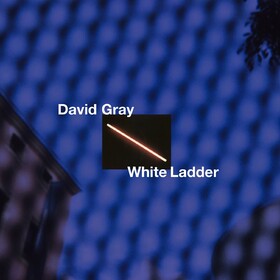 White Ladder (Box Set) David Gray