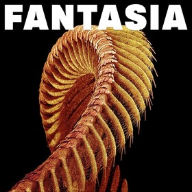 Fantasia Slift