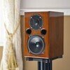 AE1 40th Anniversary Edition High Gloss Walnut