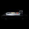 X2 B Quintet Red Piano Black