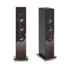 Lumina V Amator Wenge