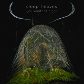 You Want The Night Sleep Thieves