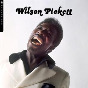 Now Playing Wilson Pickett