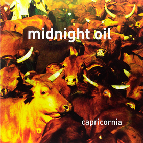 Capricorna Midnight Oil