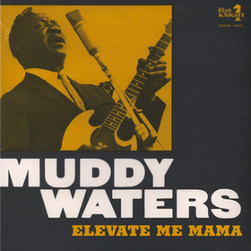Elevate Me Mama Muddy Waters