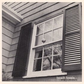 What a Pleasure (Limited Edition) Beach Fossils