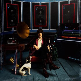 Phrazes For The Young Julian Casablancas