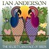 The Secret Language of Birds