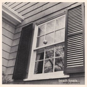 What A Pleasure Beach Fossils