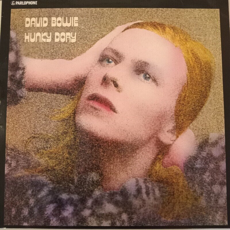 Hunky Dory