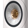 LS60 W White
