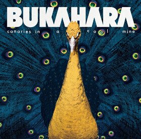 Canaries In a Coal Mine Bukahara
