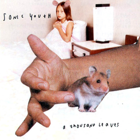 A Thousand Leaves  Sonic Youth