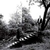 Timber Timbre (Limited Edition)