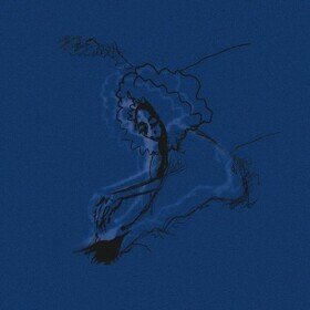 Dim Lit Polar Bear