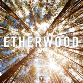 Etherwood Etherwood